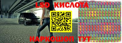 спиды Кингисепп