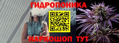 спиды Кингисепп