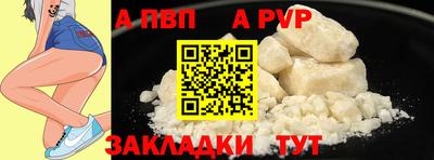 спиды Кингисепп