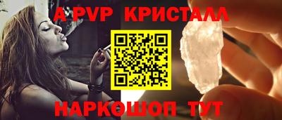 спиды Кингисепп