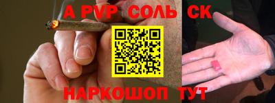 спиды Кингисепп