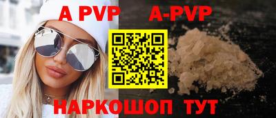 спиды Кингисепп